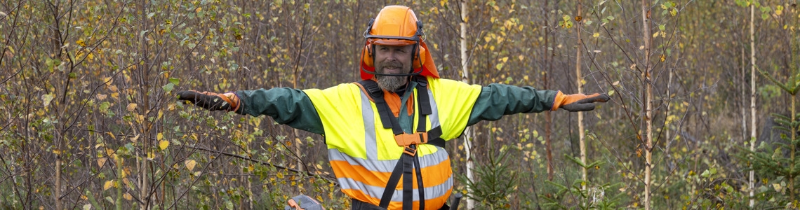 En man, klädd i skyddskläder och hjälm med nedfällt visir, utför röjning av björk en höstdag i oktober. På bilden använder han sig av skötselmodellen 3T